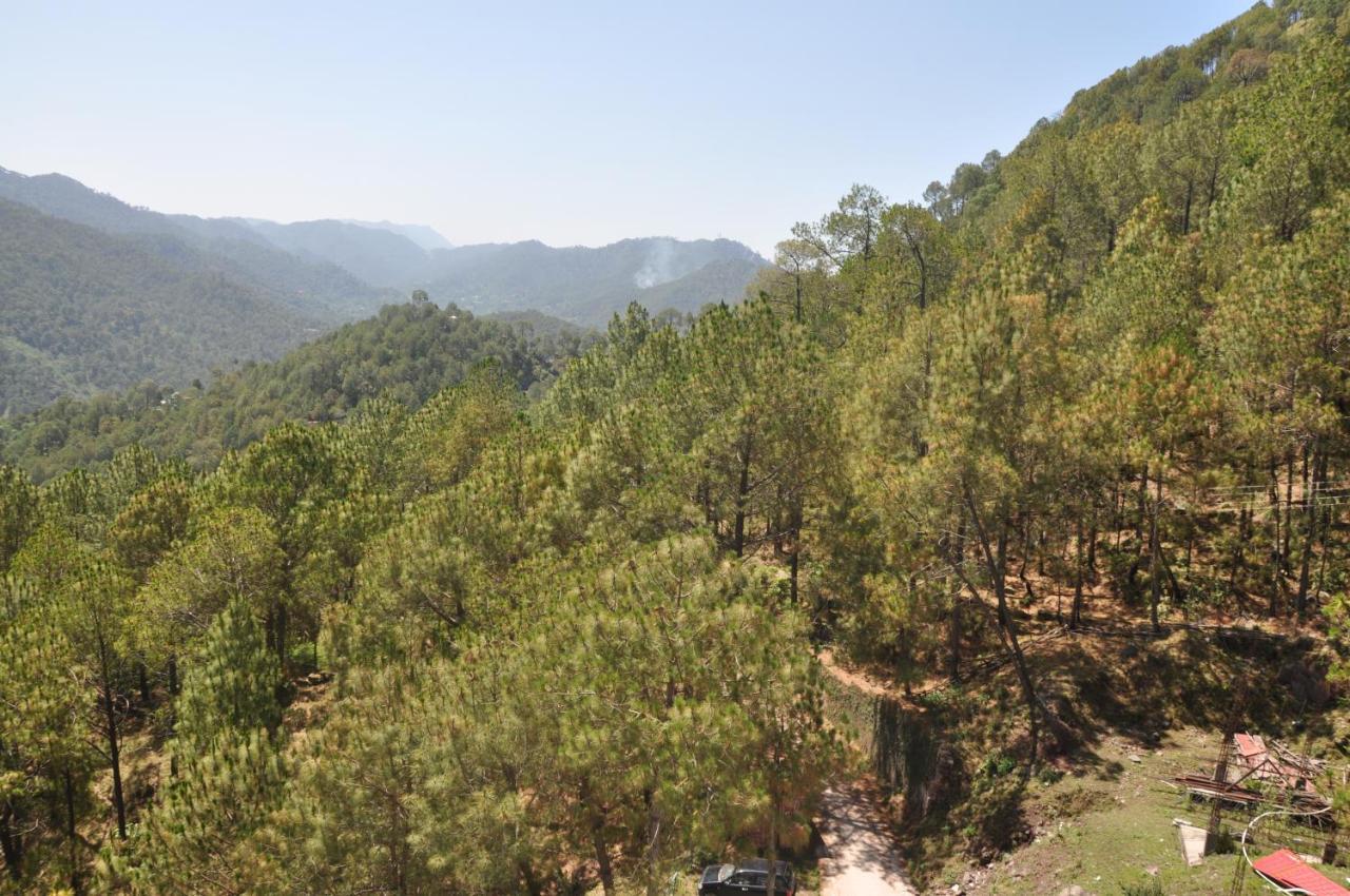 Appartement Pine Maderas By Embrace à Kasauli Extérieur photo