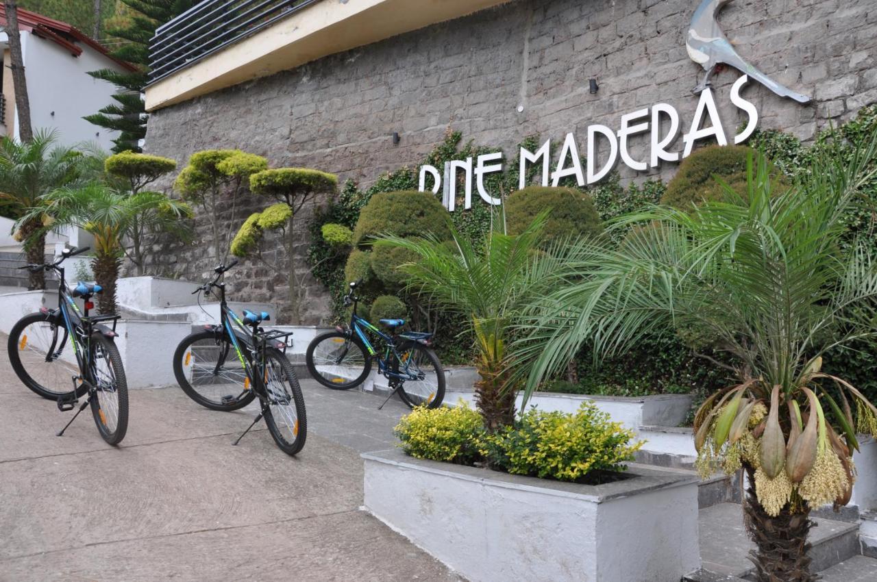 Appartement Pine Maderas By Embrace à Kasauli Extérieur photo